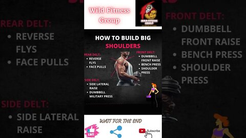 🔥How to build big shoulders🔥#shorts🔥#wildfitnessgroup🔥4 April 2022🔥