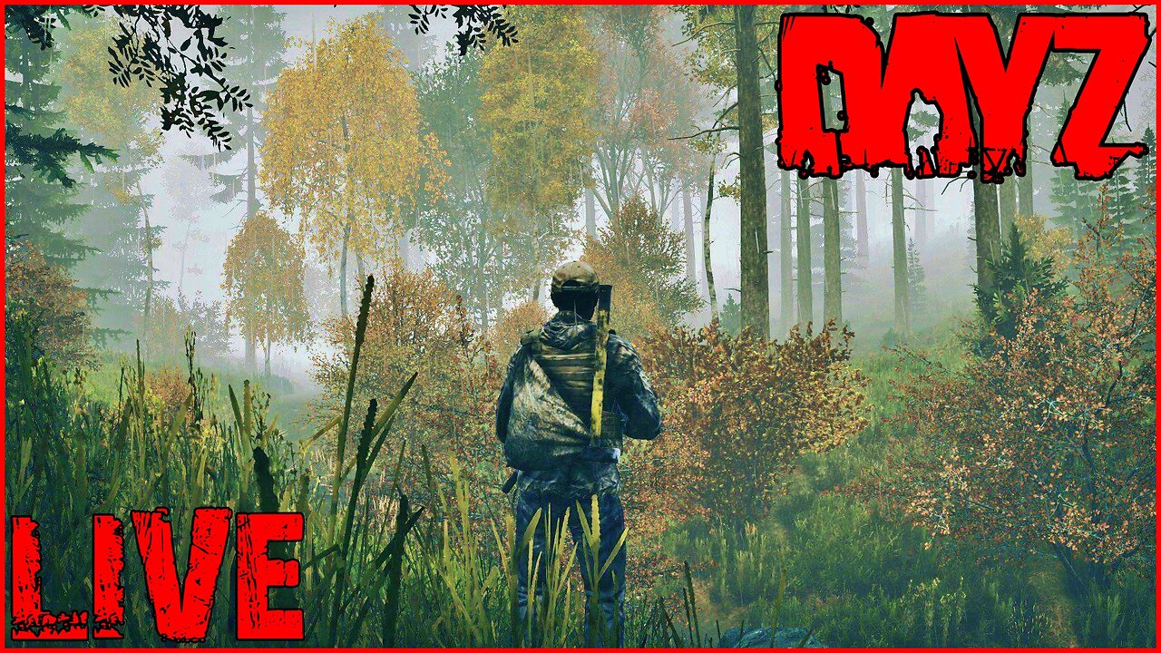 DayZ (SOLO) Might play a few different servers