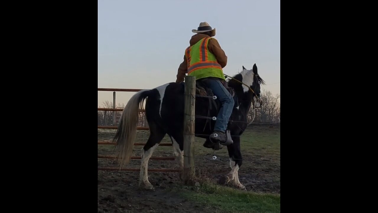 Rain - progress - working gate - being mounted - Stand-Stay - 7 Dec 2023