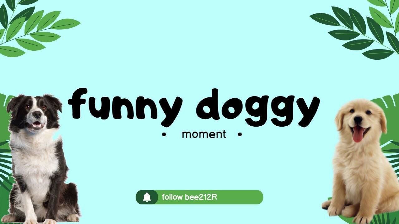*Funny doggy* moment !!!