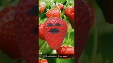 #Strawberry #Toddler #Rap #asking #if #you #had #video #games #on #your #phone #?