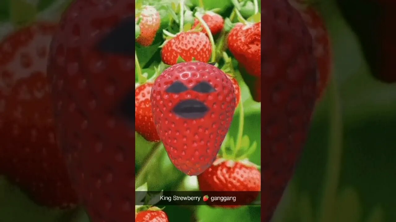 #Strawberry #Toddler #Rap #asking #if #you #had #video #games #on #your #phone #?