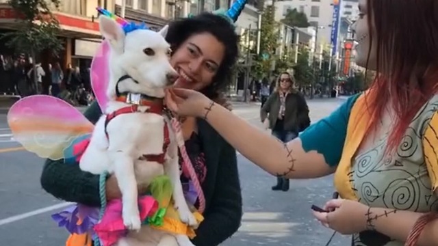 WHAT!!! A UNIDOG???! - Vancouver Halloween Parade 2017