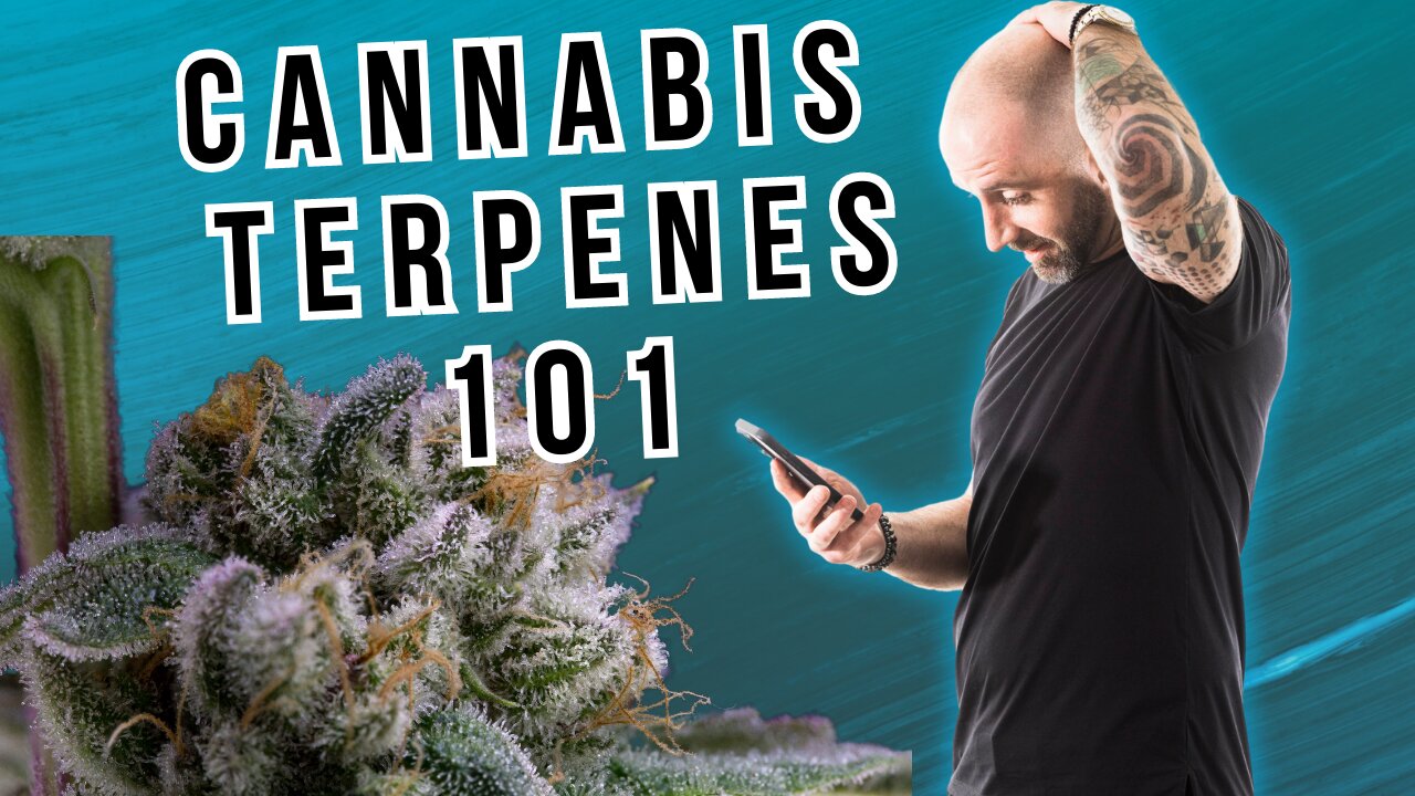 Cannabis Is A Terpene Factory