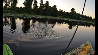 Kayak Fly Fishing Review of Lake Marion in Polk County, Florida