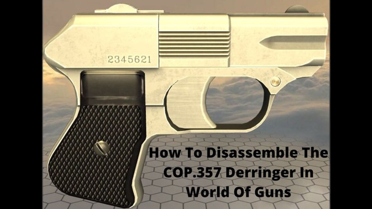 How To Disassemble The COP 357 Derringer In World Of Guns