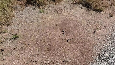 GAGE NEW MEXICO UNITED STATES OF AMERICA REST AREA