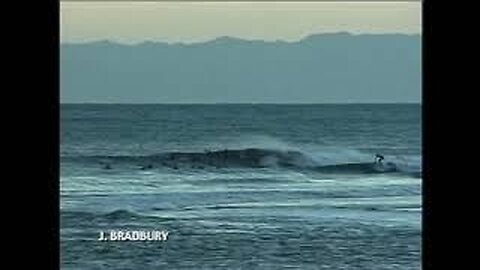 SURF MOVIE: Brown Round