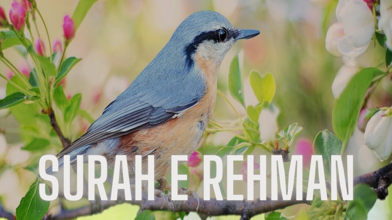 Surah Rehman | সূরা ই রহমান ইউসুফ কালু | سُوْرَۃ الرَّحْمَٰن |