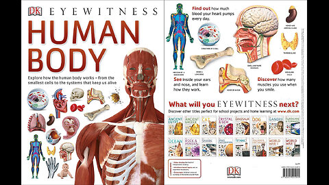 Eyewitness Human Body