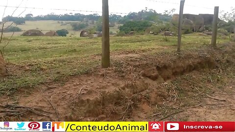 🚲Pedal em cabreuva no armazem do limoeiro 7 de maio 2016