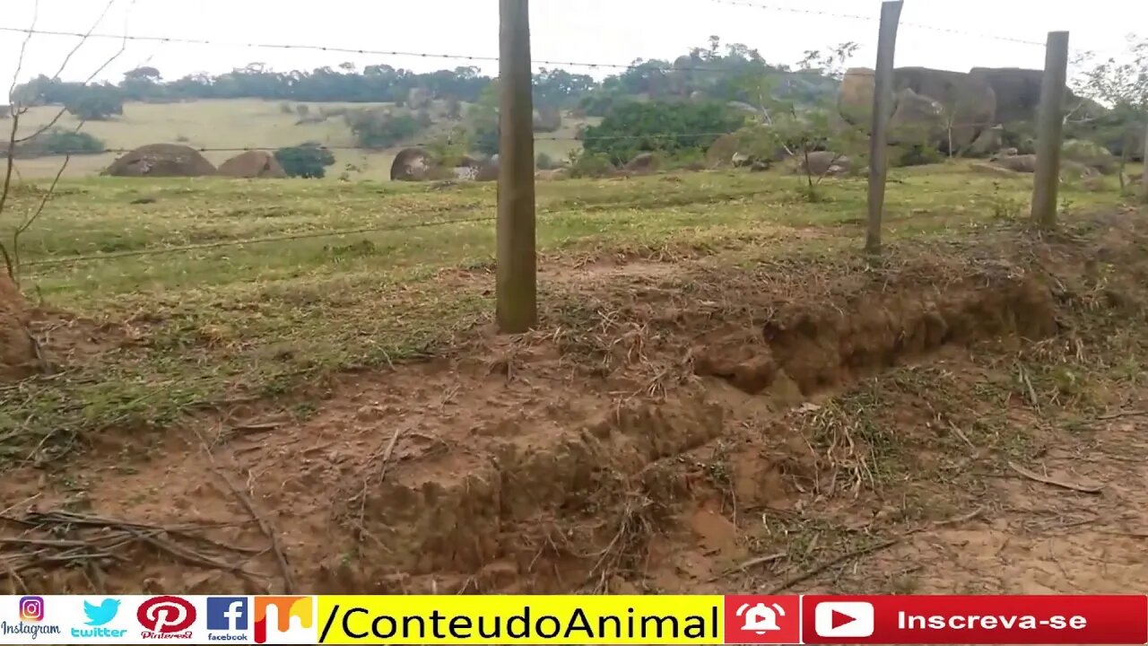 🚲Pedal em cabreuva no armazem do limoeiro 7 de maio 2016