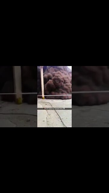 #funny #meme #funnyvideo