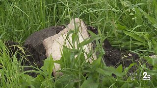 Residents in Baltimore's Sandtown-Winchester community want city-owned lots mowed, maintained