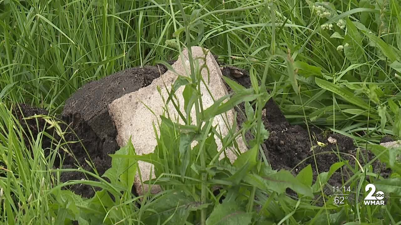 Residents in Baltimore's Sandtown-Winchester community want city-owned lots mowed, maintained