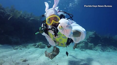 Diving for Easter eggs off the Florida coast