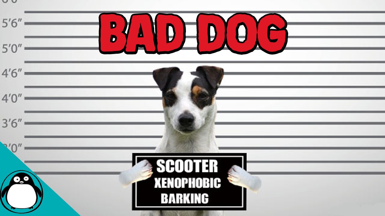 UK Police Arrest Dog For Barking At Immigrant - PARODY