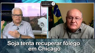 Soja tenta recuperar fôlego em Chicago