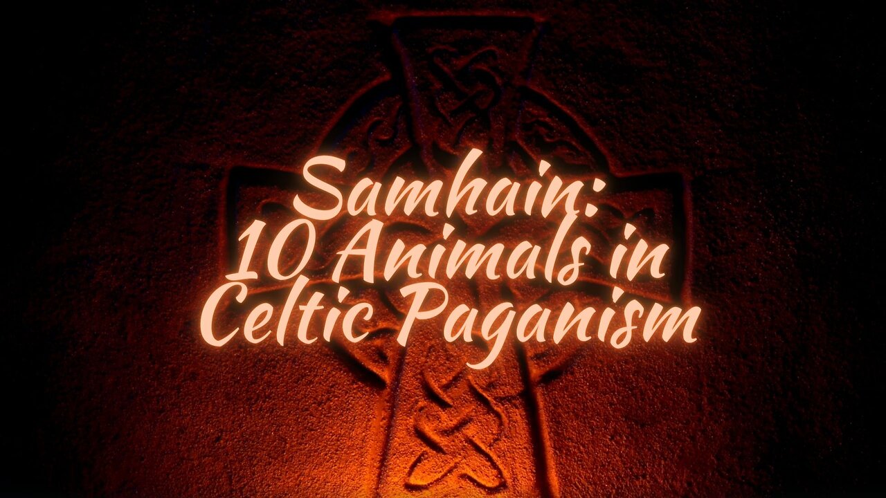 Samhain: 10 Animals in Celtic Paganism