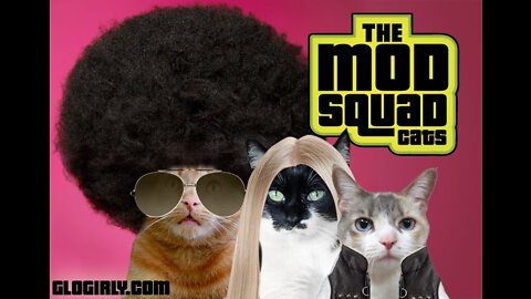 The Odd Squad ( Party Crashers)