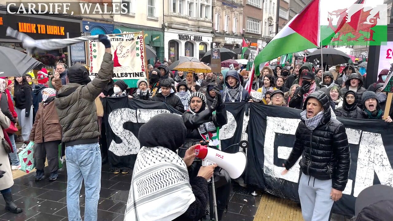 ☮️March Pro-PS Protesters Wood Street Cardiff South Wales☮️