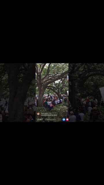 George Floyd protest 5-29-20 Houston Tx / defying the god damn fucking cop