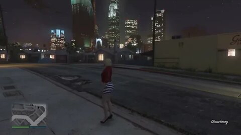 Grand Theft Auto Online Anna's Tutorial