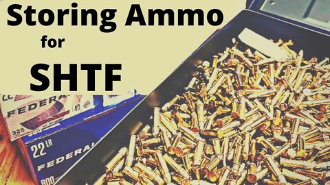 Storing 5000+ .22lr for Long Term