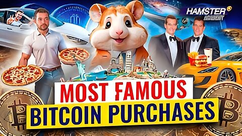 Bitcoin Biggest Spends: Pizza, Cars, and Space Travel ⚡️ Hamster Academy