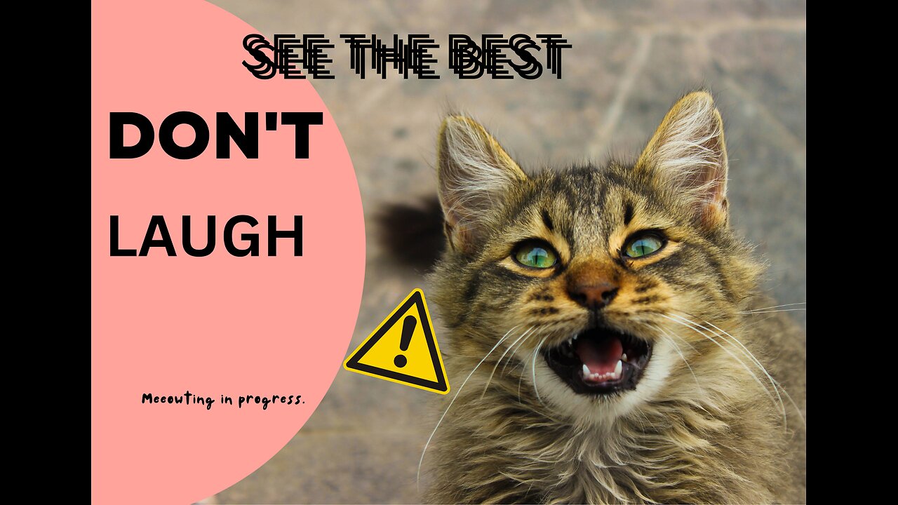 "Roars and Paws: Hilarious Animal Antics Caught on Camera!"
