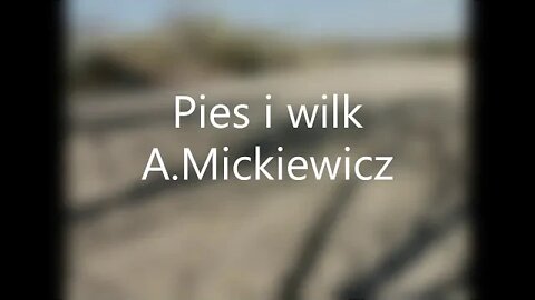 Pies i wilk -A.Mickiewicz