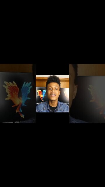 LIT TRADING LIQUIDITY INDUCEMENT THEOREM | Edney Pinheiro