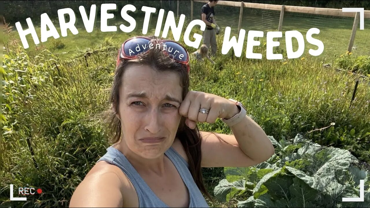 Our Garden Is A Mess This Year | Danica’s 1st Canoe Ride