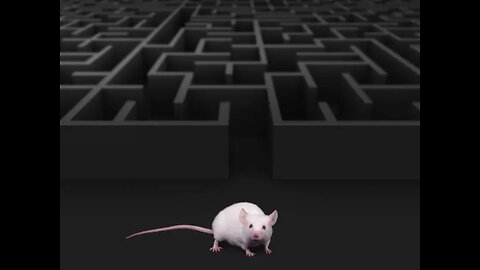 The system has total control. The digital trap will just keep closing. There is NO ESCAPE!