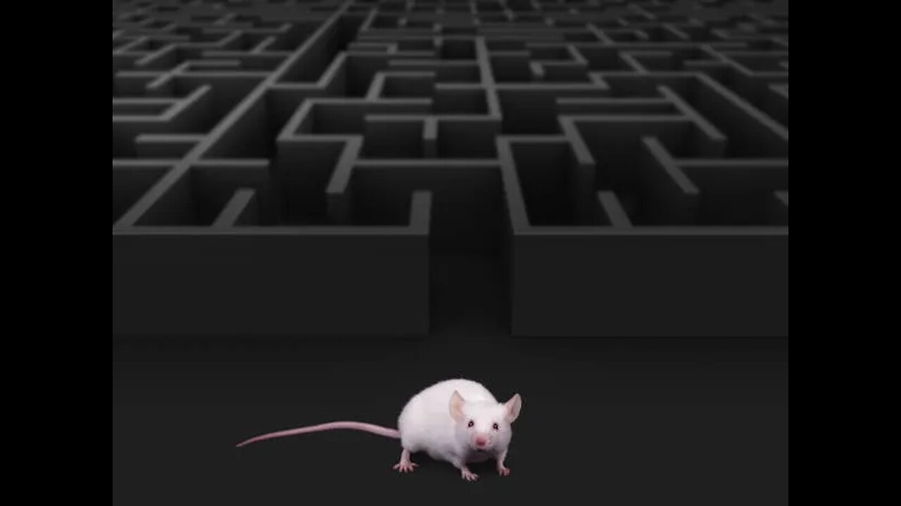 The system has total control. The digital trap will just keep closing. There is NO ESCAPE!