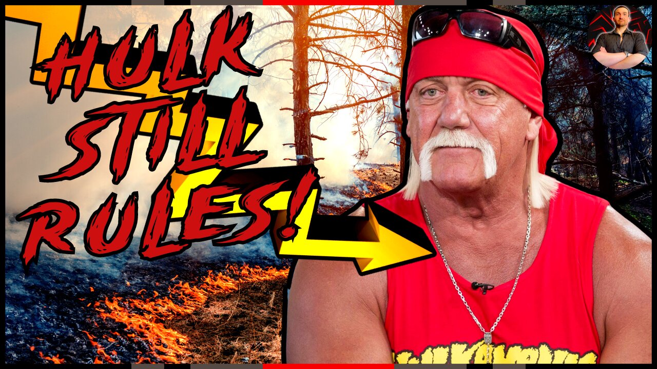 WWE Hall of Famer Hulk Hogan SAVES a Woman From a Car Crash!