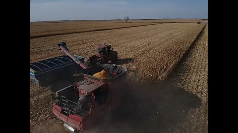 Drone aerial footage of corn harvest
