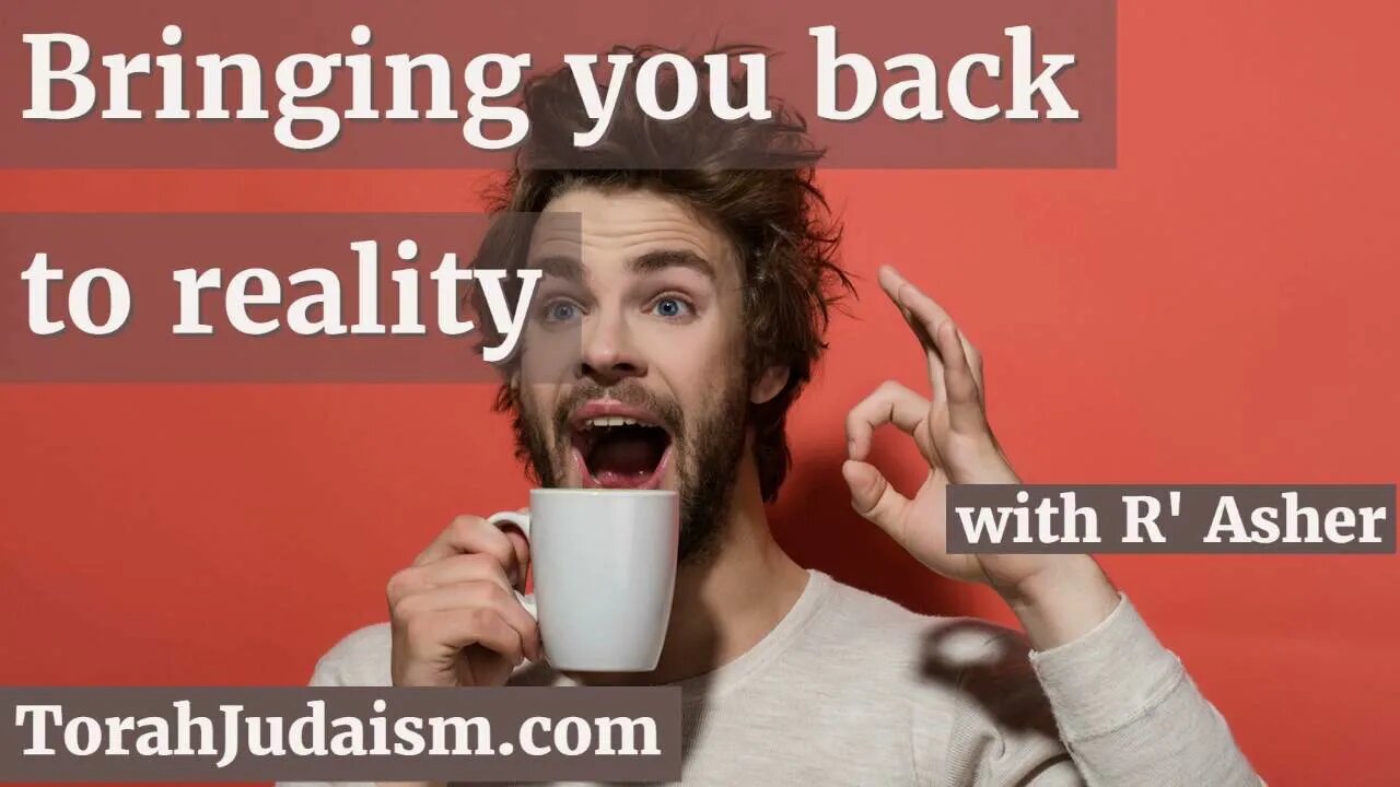 Bringing you back to realty