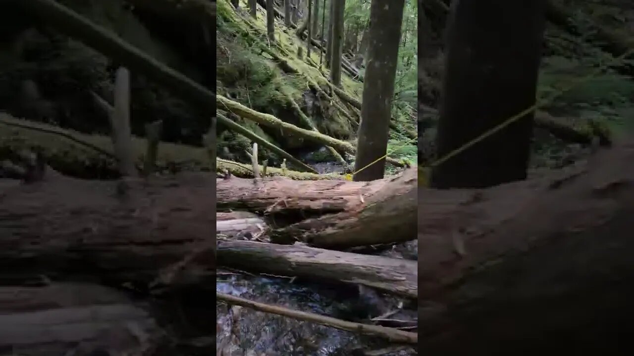 #explore #recreationaltrail #cascadefalls lower section #mabellake #britishcolumbia #Canada