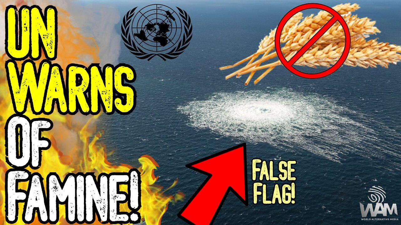 UN WARNS OF FAMINE! - False Flag ATTACK On Pipeline! - They're Getting Us Ready For The Great Reset!