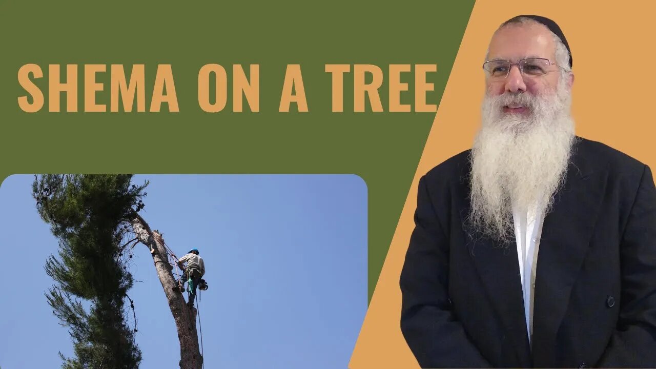 Mishna Berachot Chapter 2 Mishnah 4 Shema on a tree