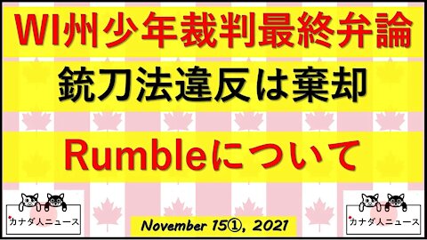 少年裁判最終局面/Rumbleでの投稿に関して