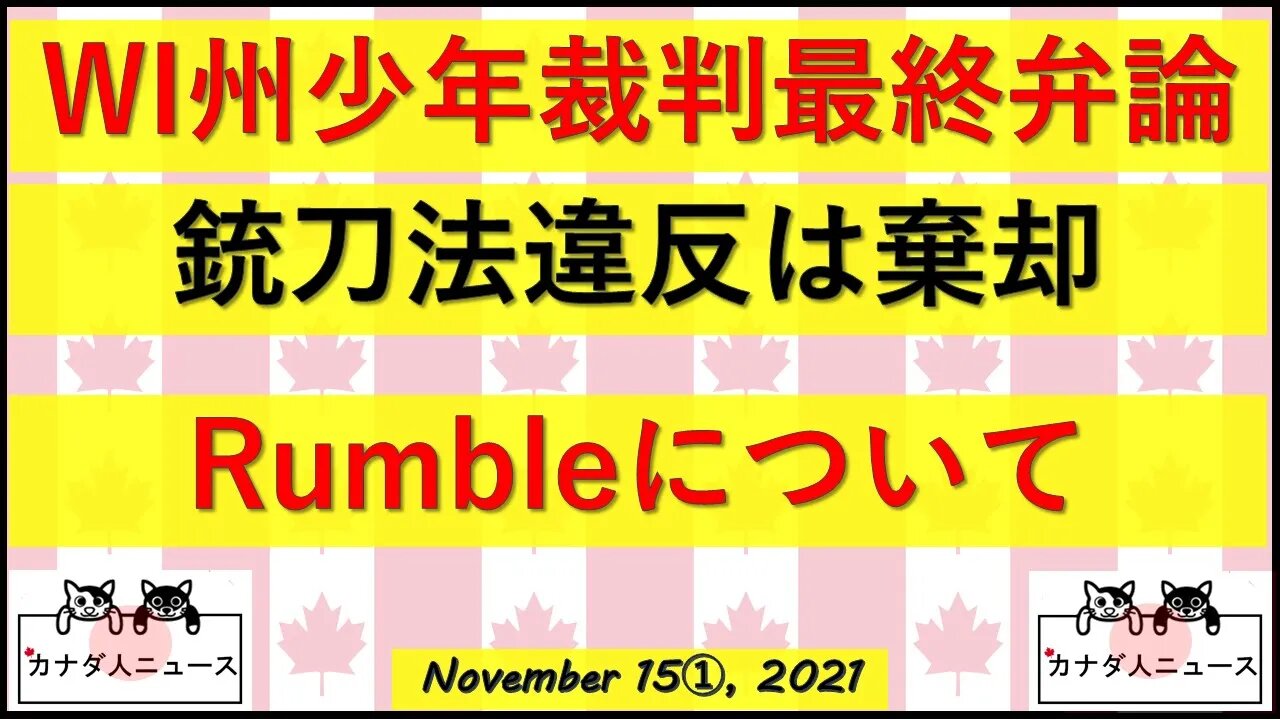 少年裁判最終局面/Rumbleでの投稿に関して