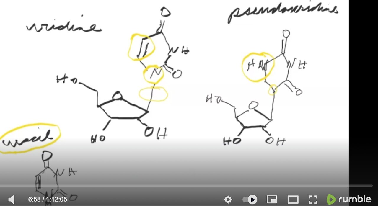 Graveyard Shift Ep49 (Use of pseudouridine in the cell) by Dr. Paul Cottrell