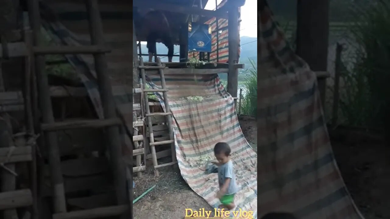 how people chop feed for cows