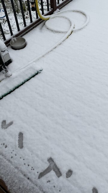 Anchorage AK anomaly 2