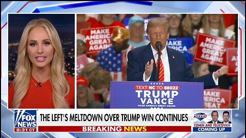 Tomi Lahren: There's No Diversity Of Thought On The Left