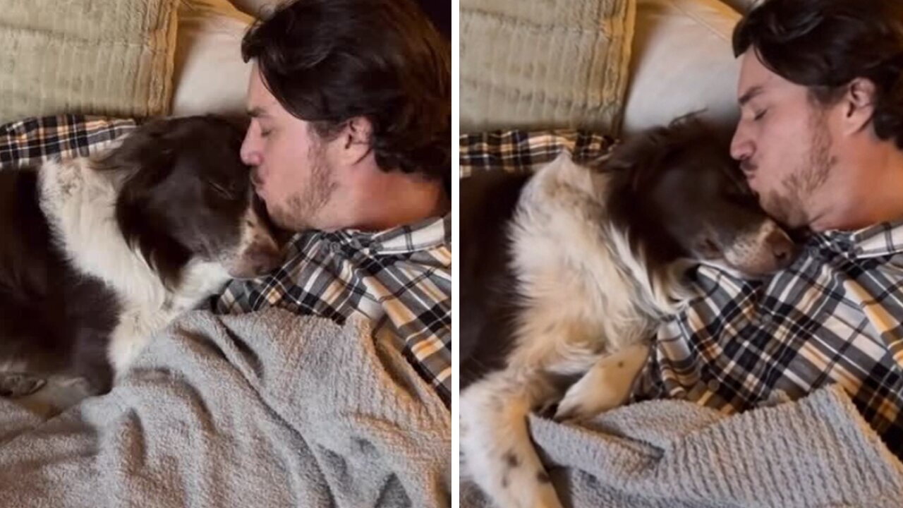 Once-abused Shelter Dog Falls In Love With Owner's Boyfriend