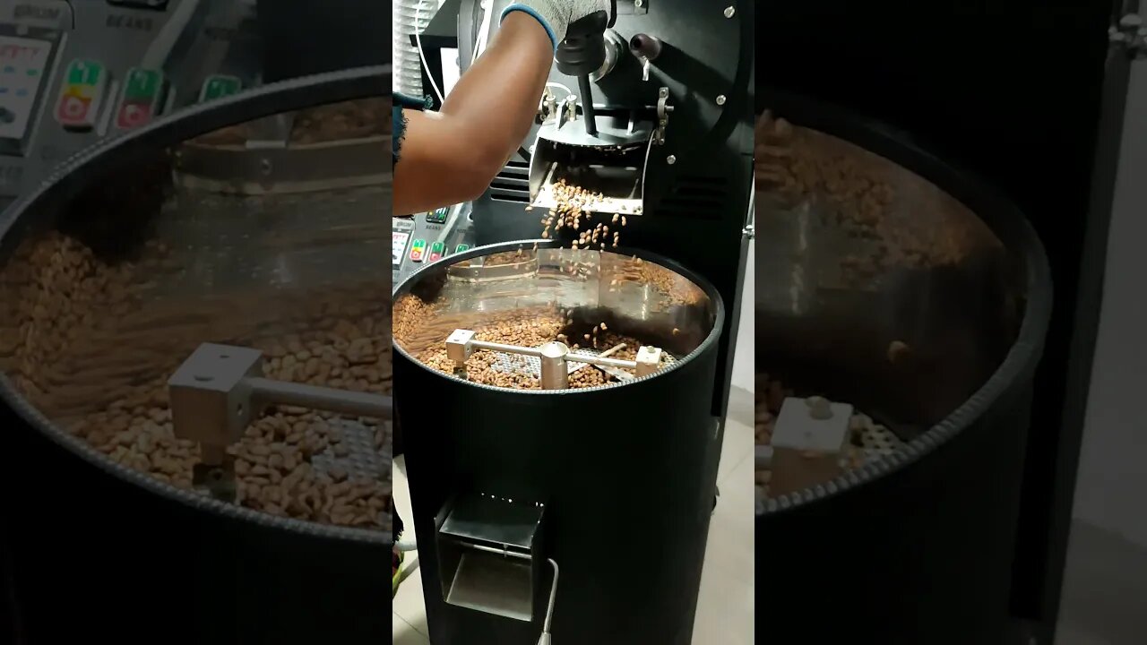 Roasting Kopi Pake Mesin Lokal, Maestro Coffee Roaster #shorts