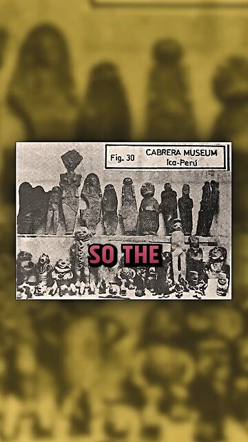 Artifacts Showing Man Riding A Triceratops